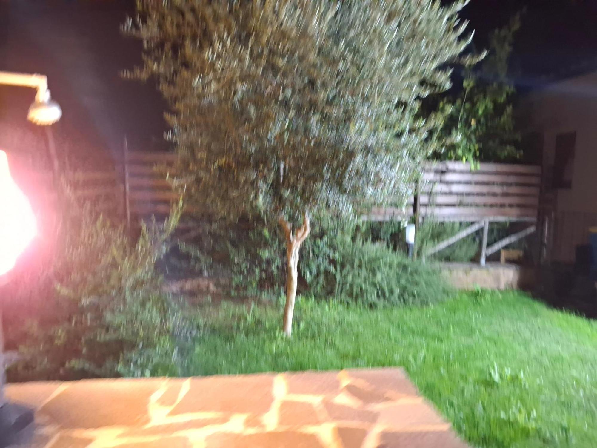 Villa Margherita Chia Buitenkant foto